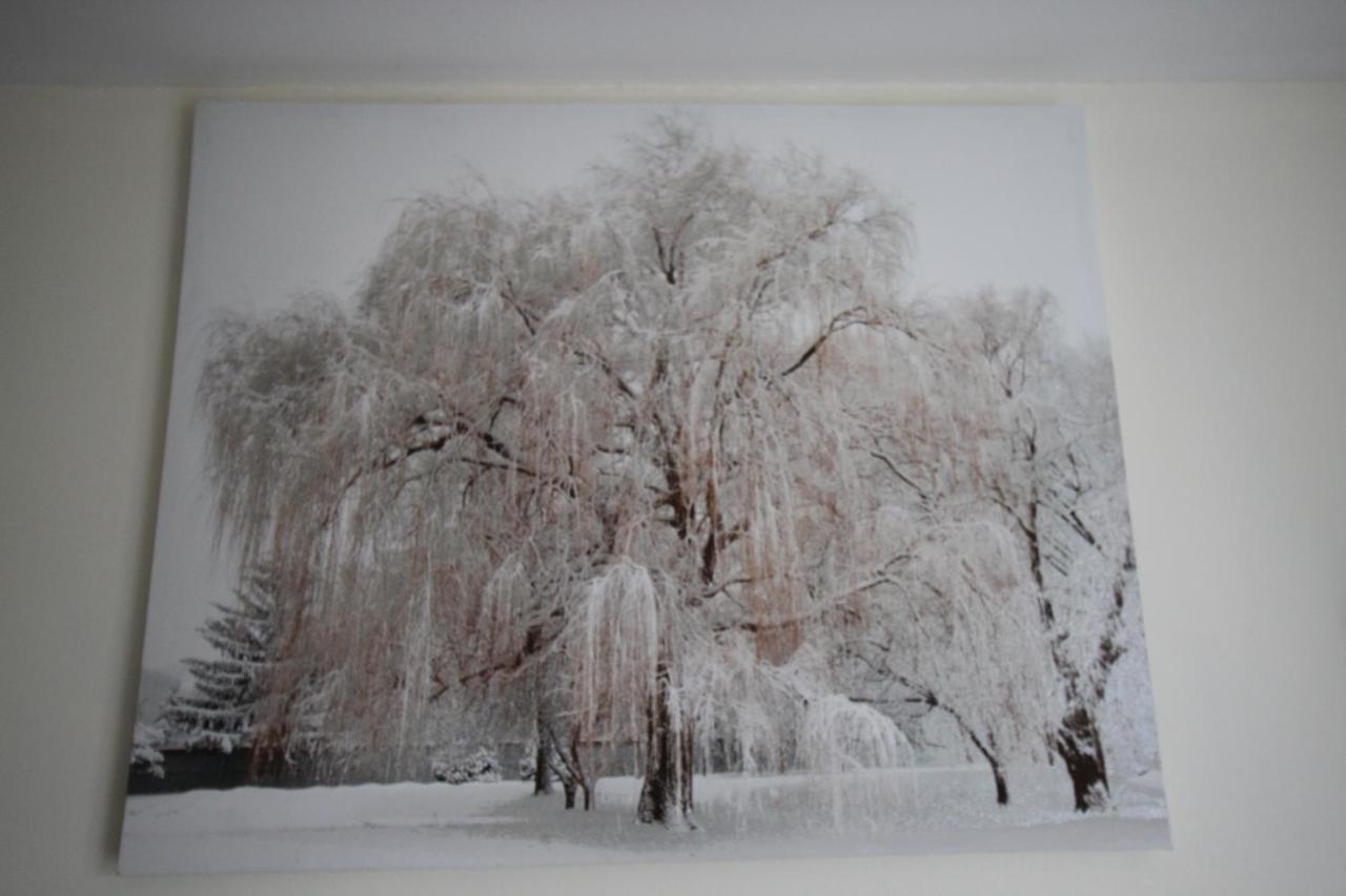 Longview House Bed and Breakfast Ballymoney Εξωτερικό φωτογραφία
